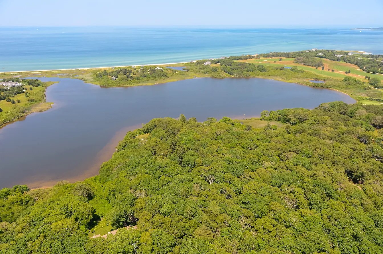 Trapps Pond from the air