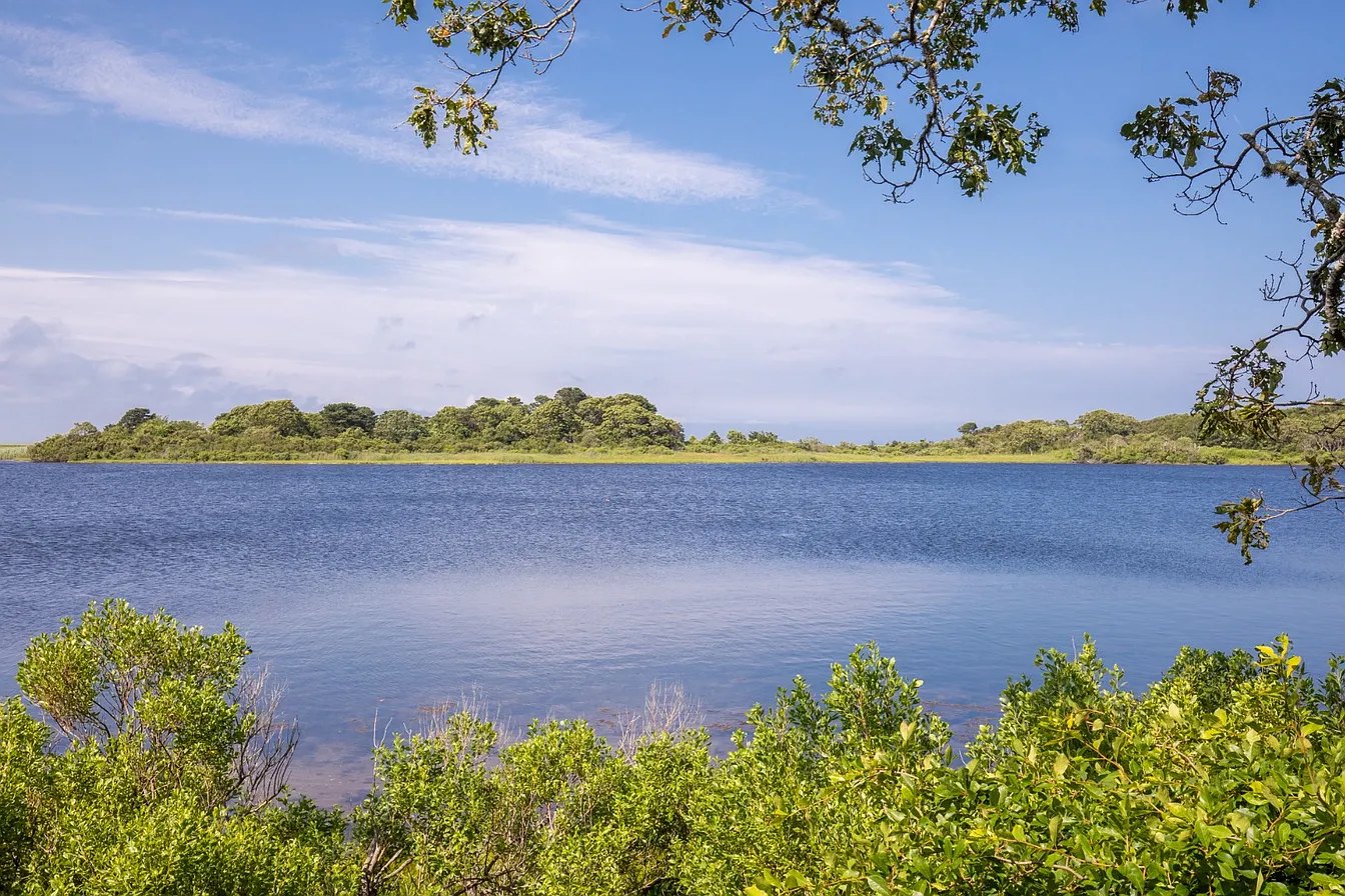 Trapps Pond water